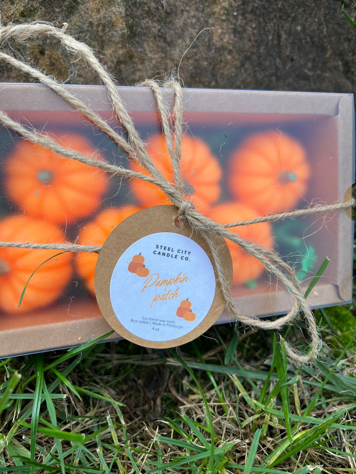 Pumpkin Patch