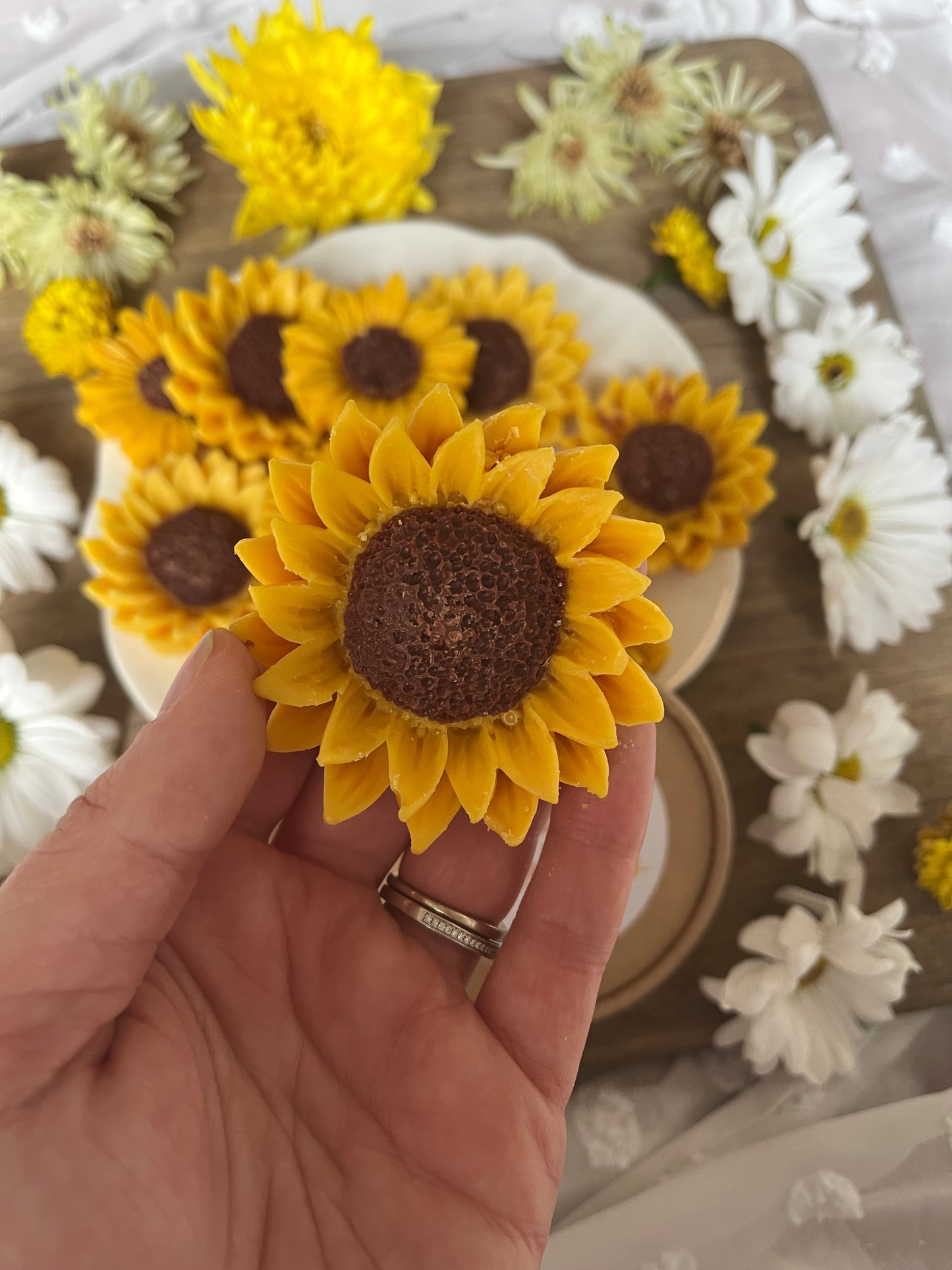 Sun-kissed Mahogany