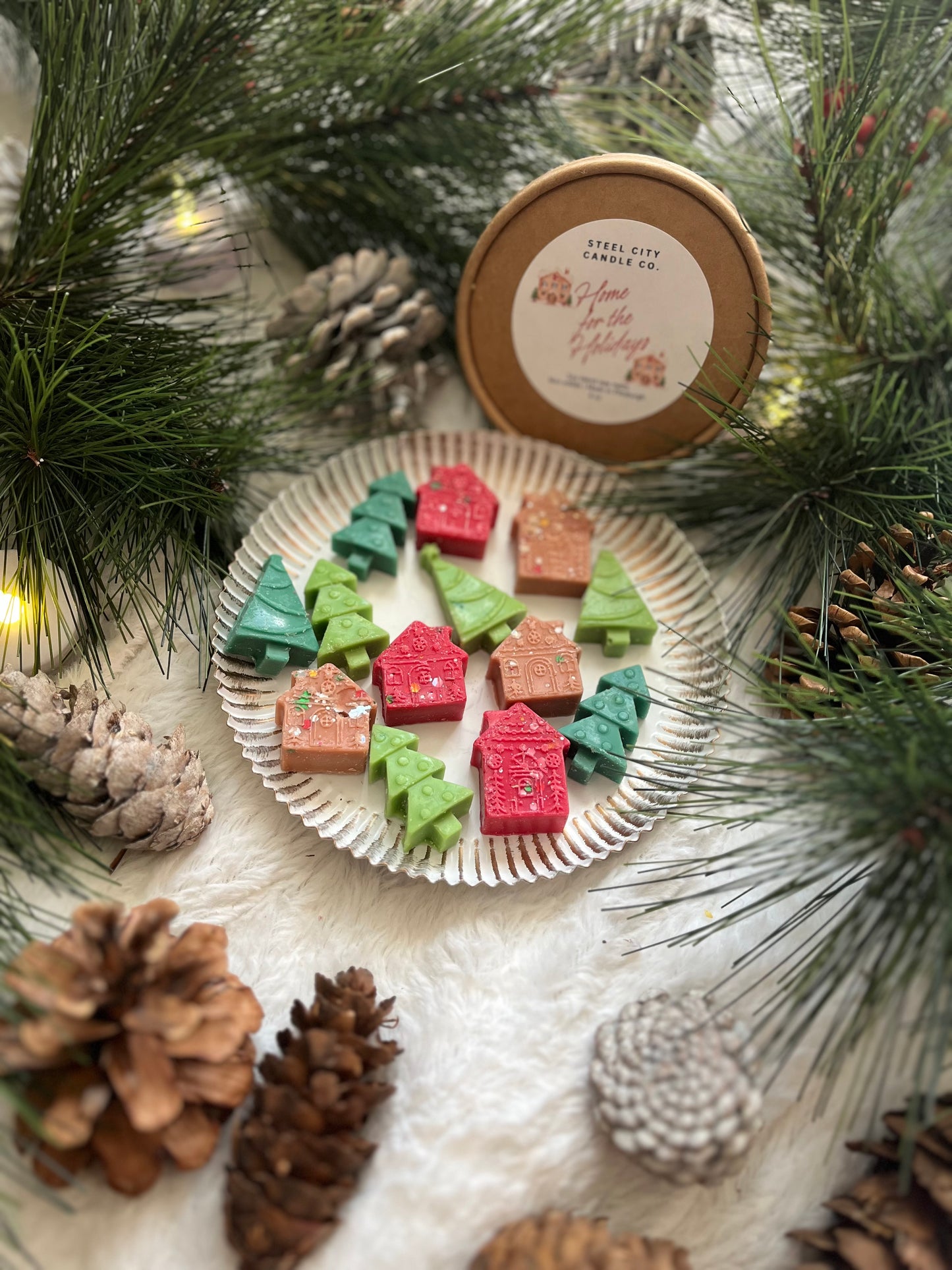 Home for the Holidays