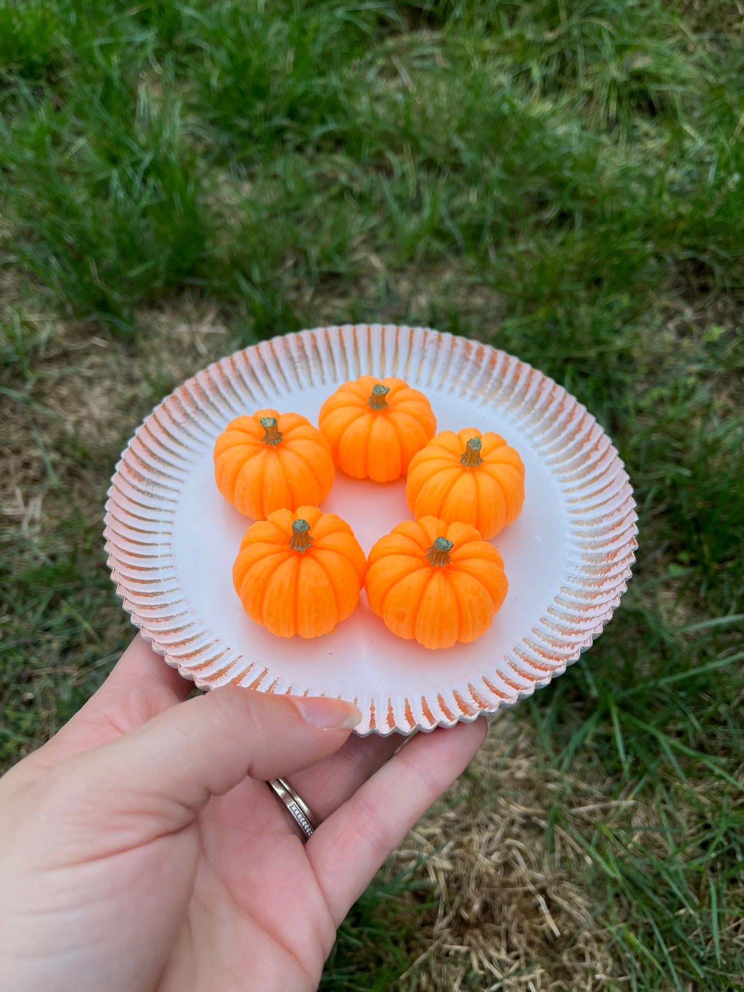 Pumpkin Patch