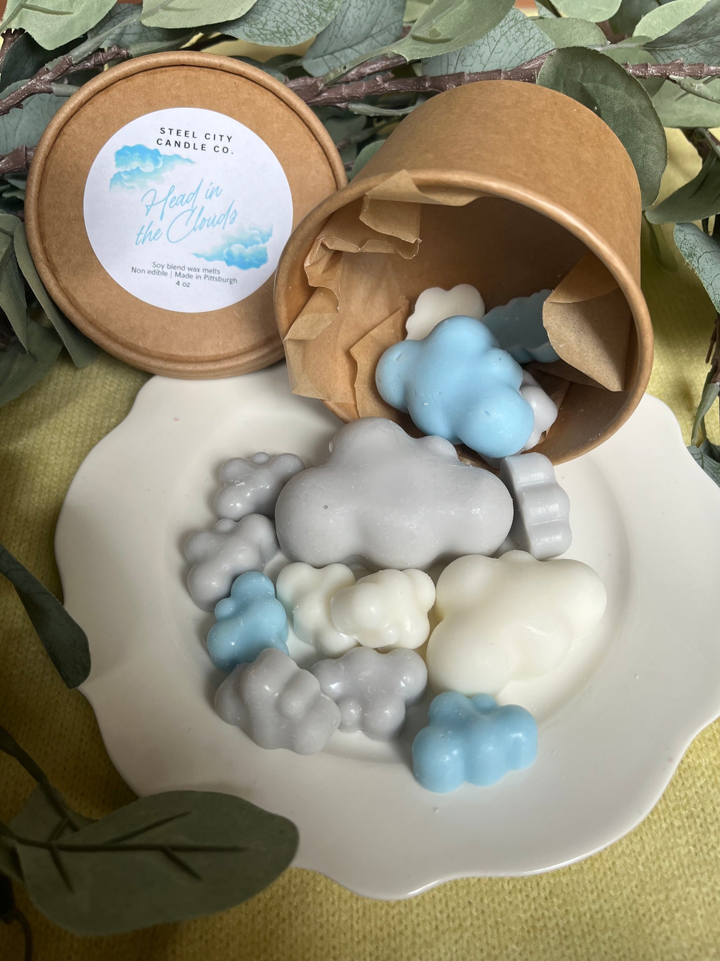 Head in the Clouds