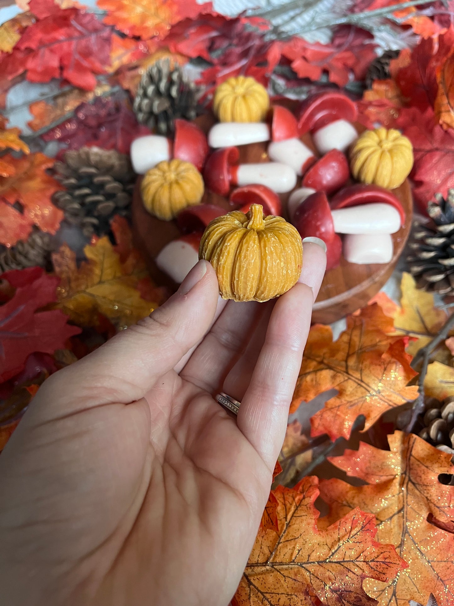 Autumn Harvest