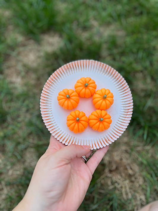 Pumpkin Patch