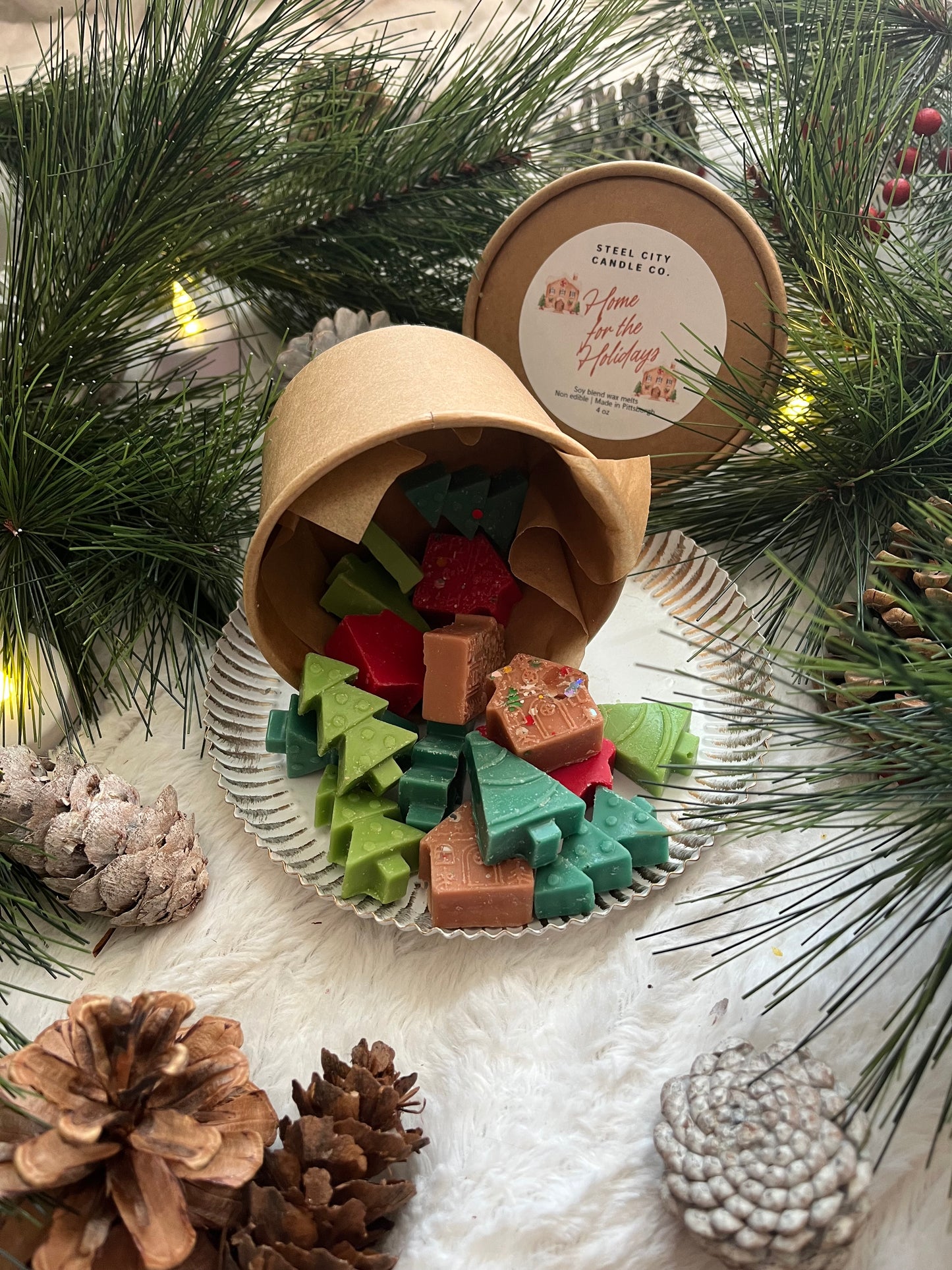 Home for the Holidays