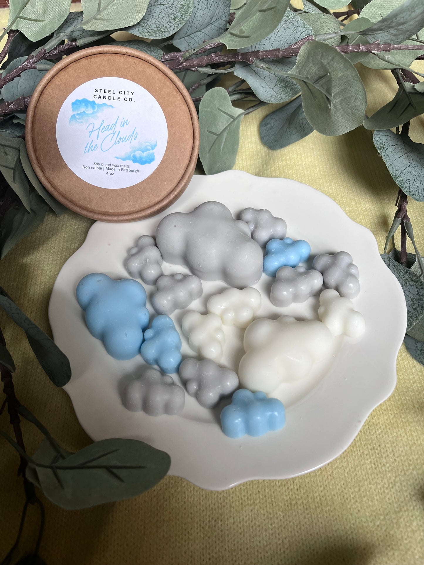 Head in the Clouds