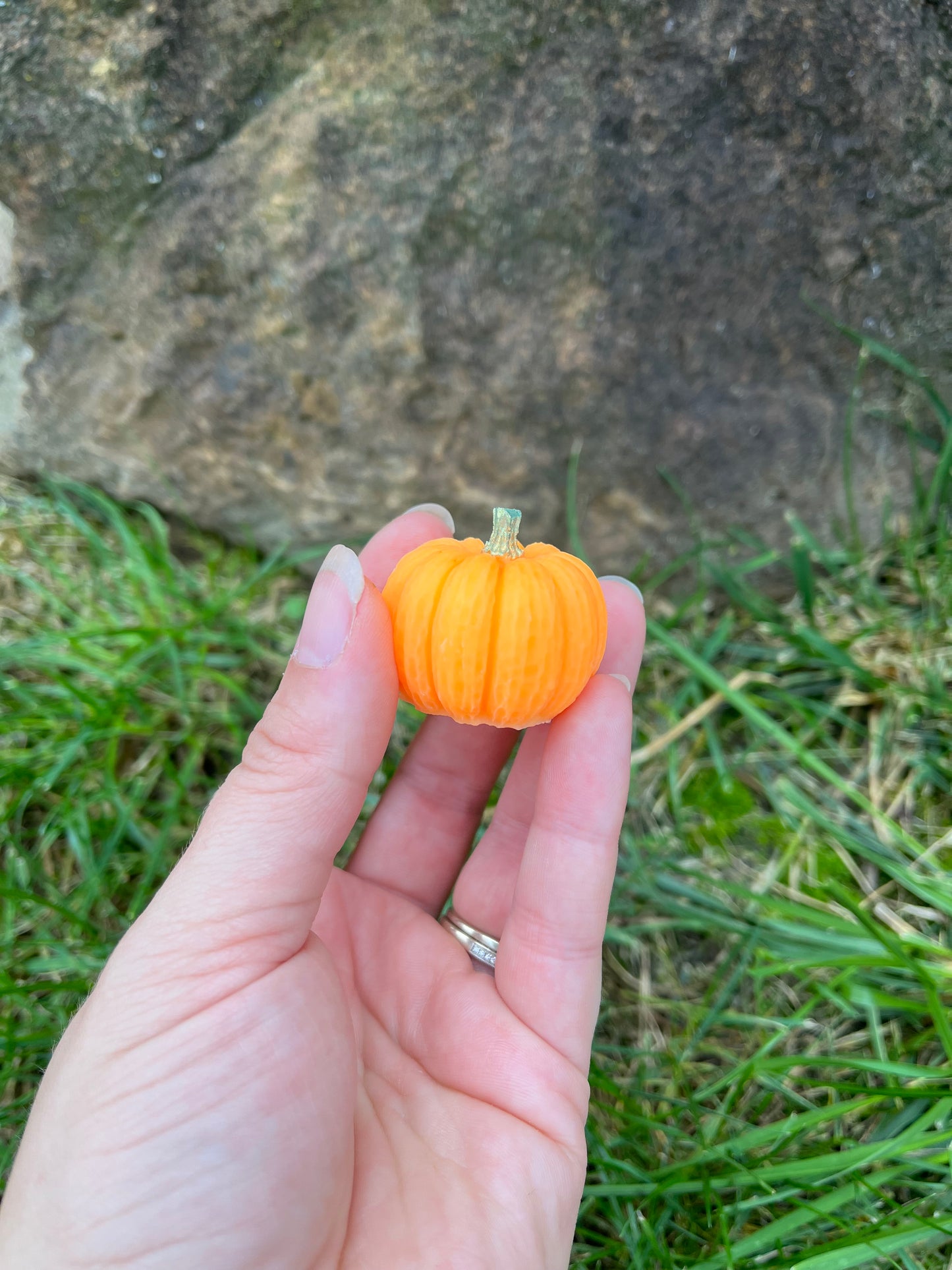 Pumpkin Patch