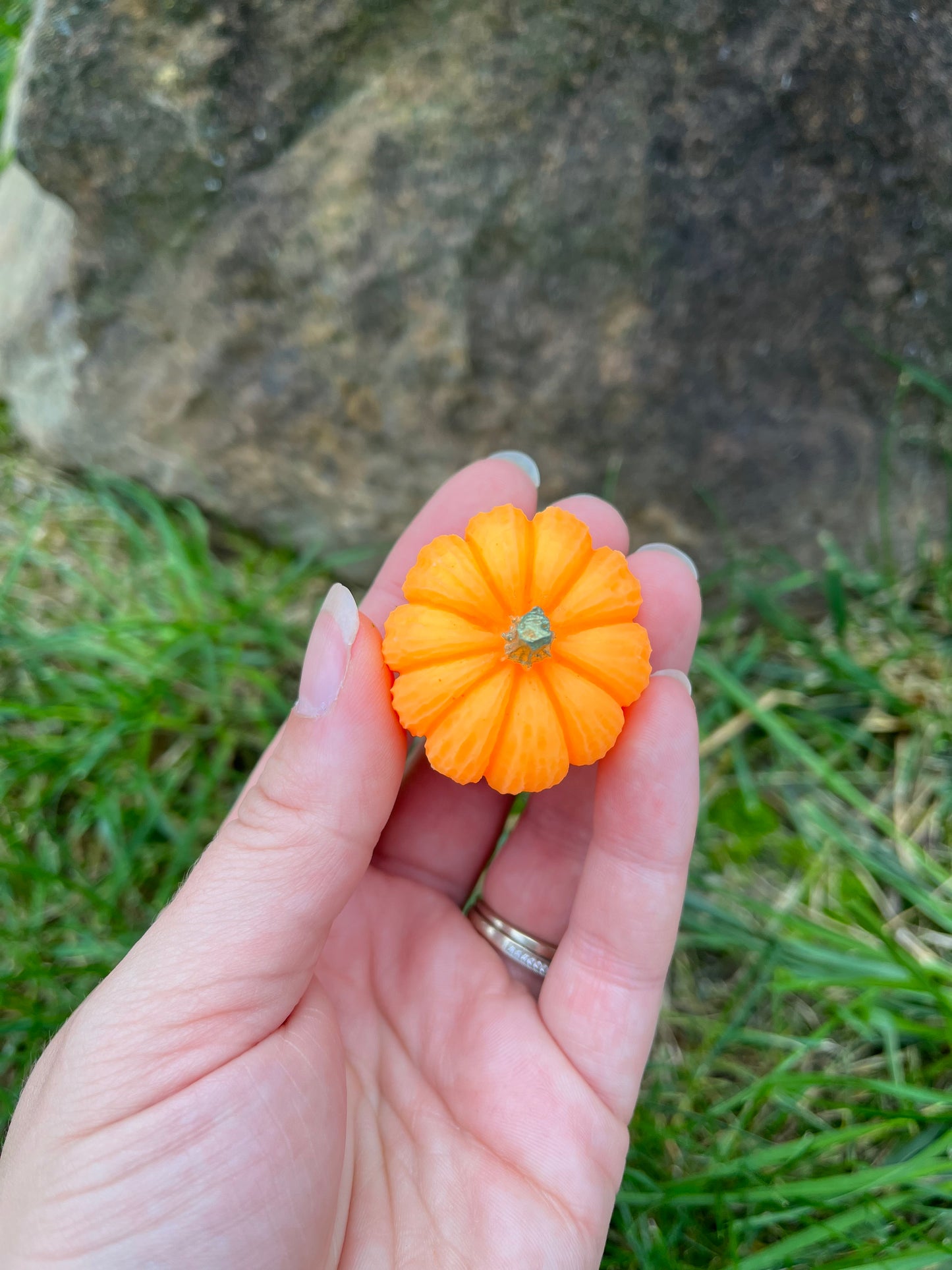 Pumpkin Patch