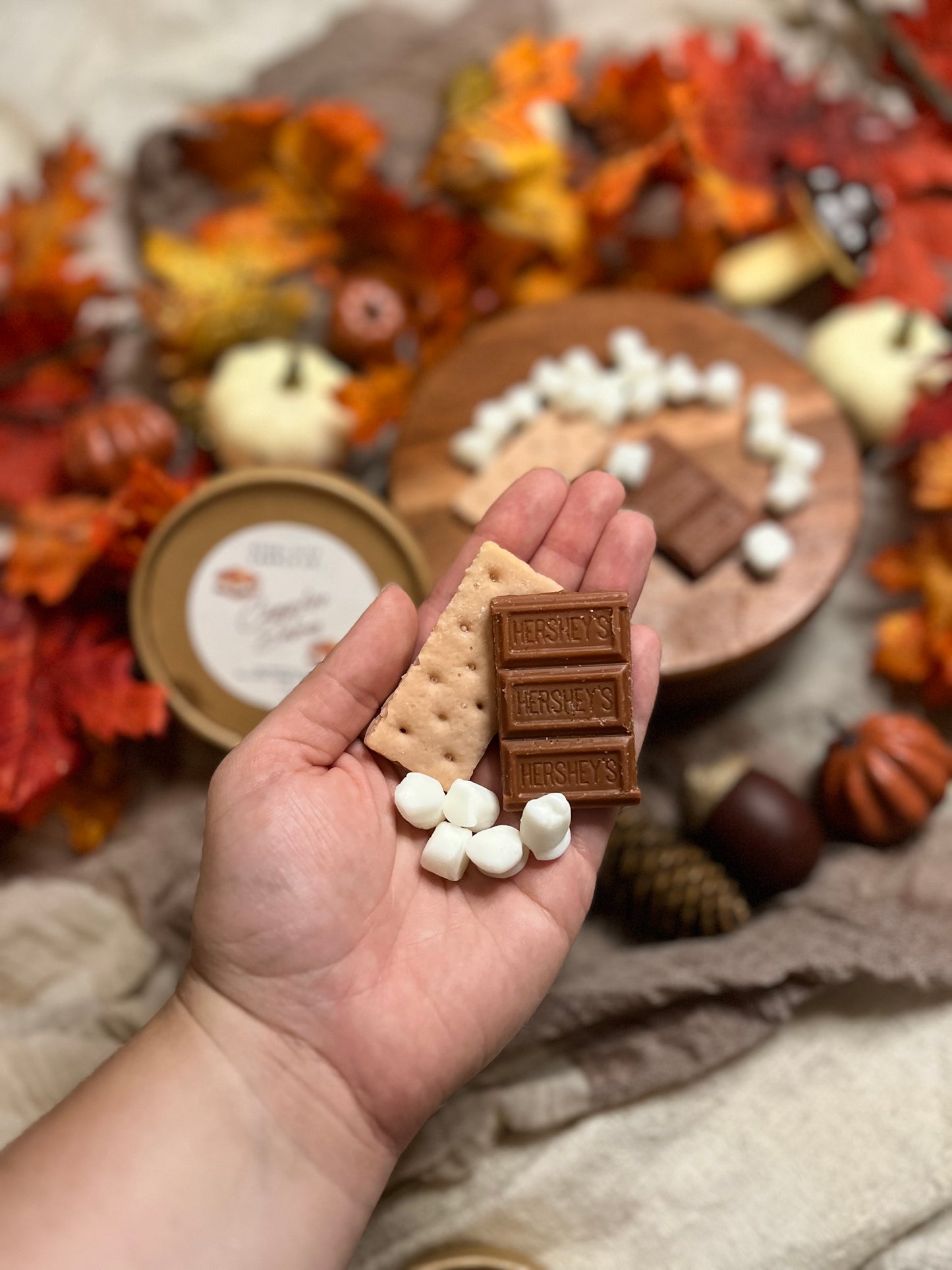 Campfire S’mores