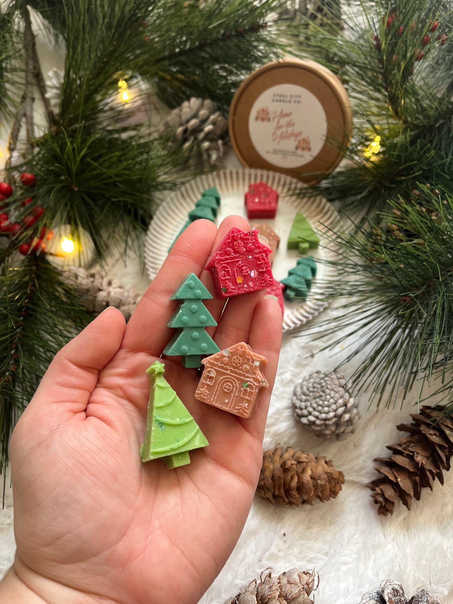 Home for the Holidays